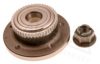 AUTEX 807013 Wheel Bearing Kit